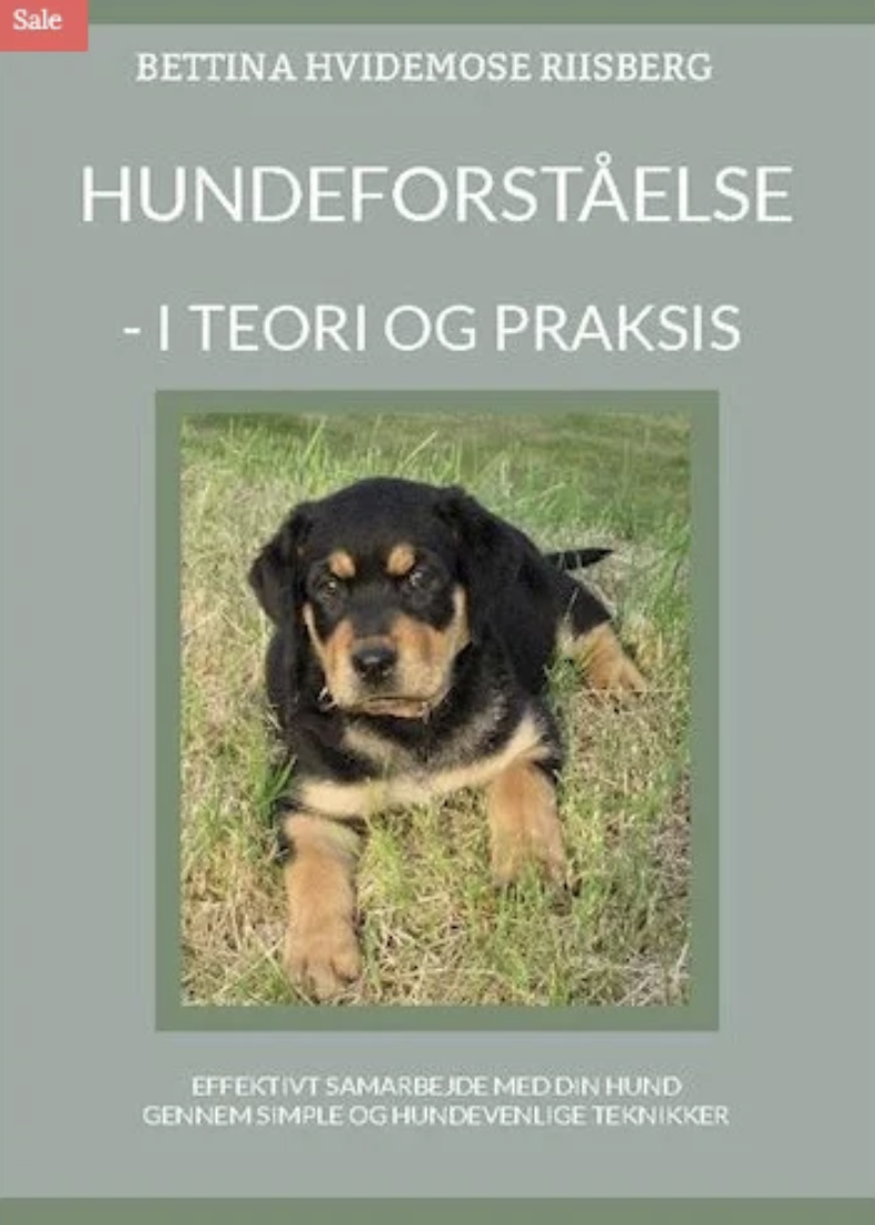 hunde