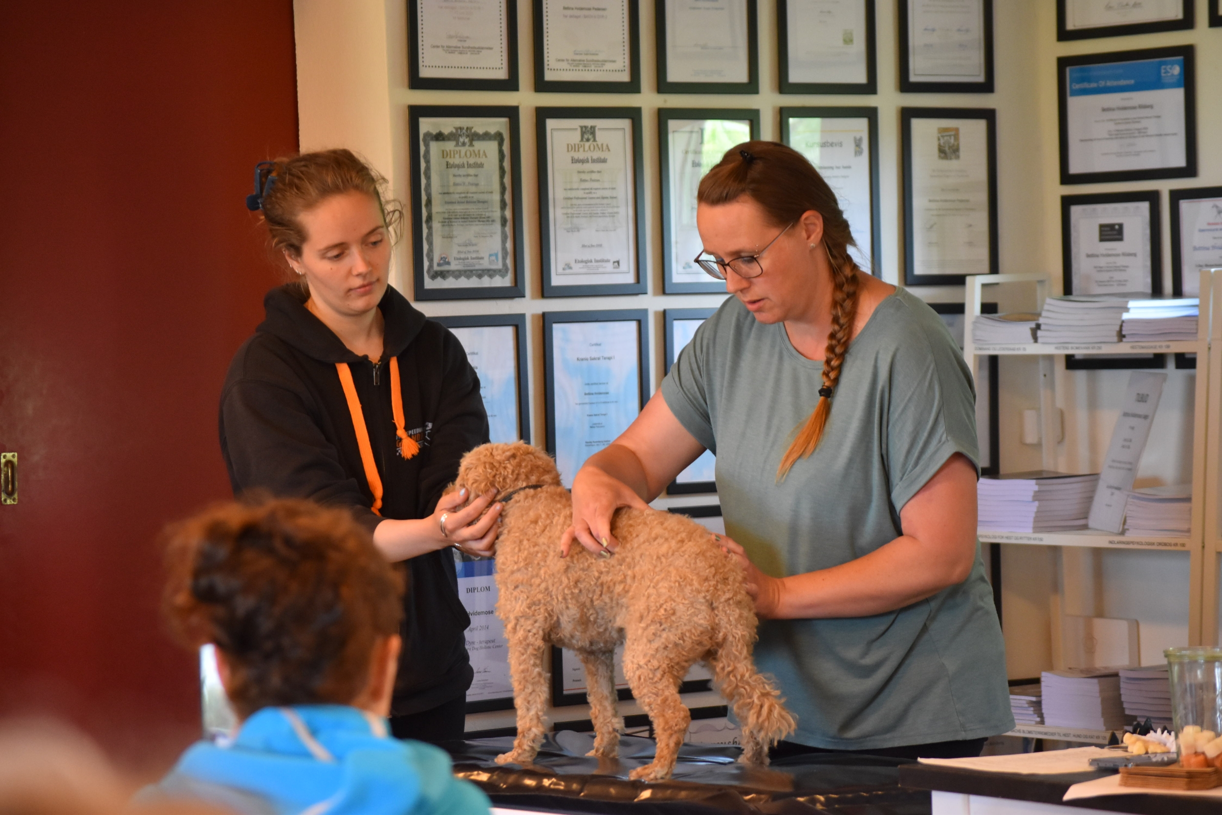 Fysioterapi til hunde i Hirtshals